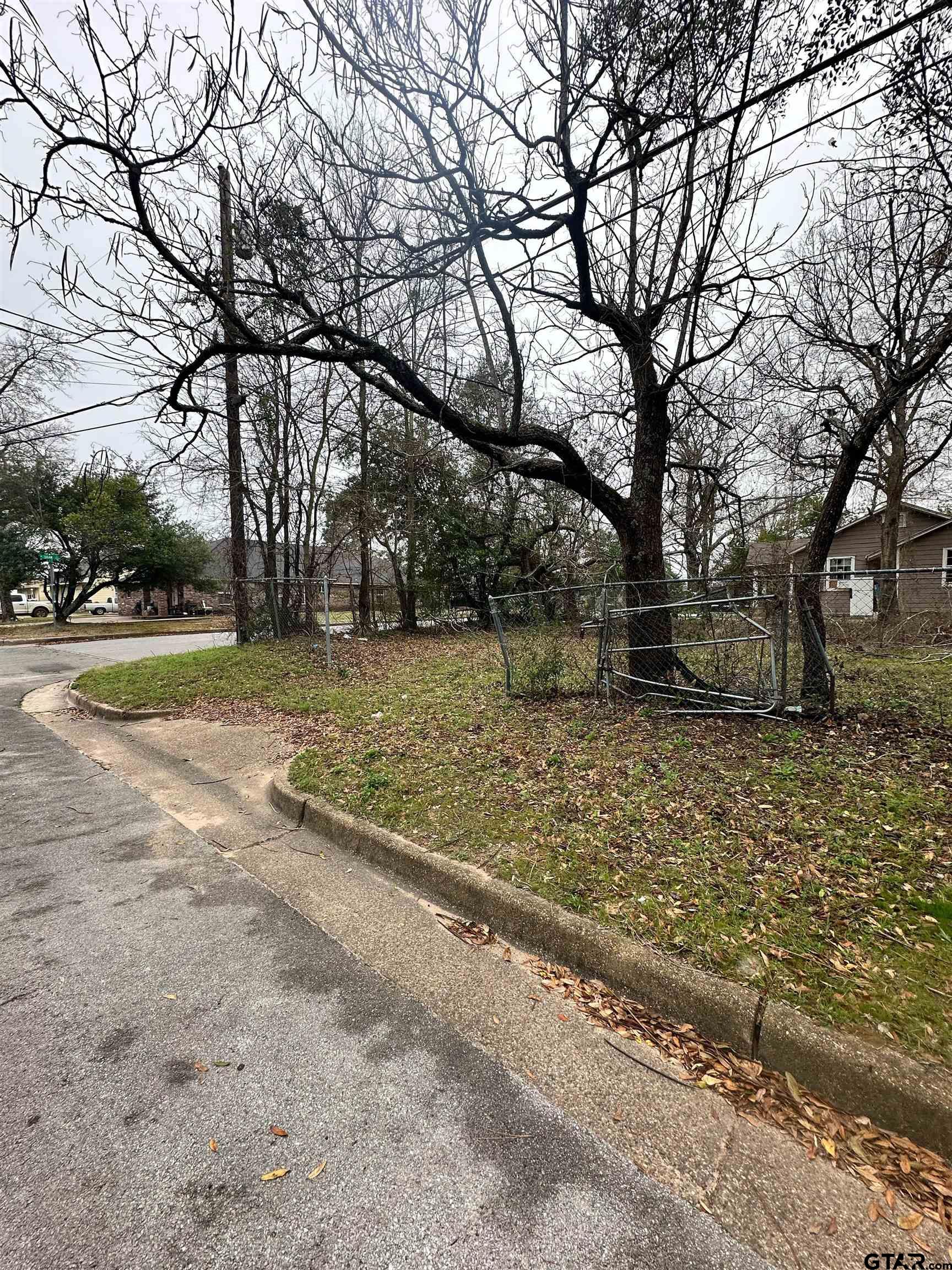 1103 South Academy Avenue Tyler, TX 75701 - Photo 7 of 7 a view of a yard with a tree