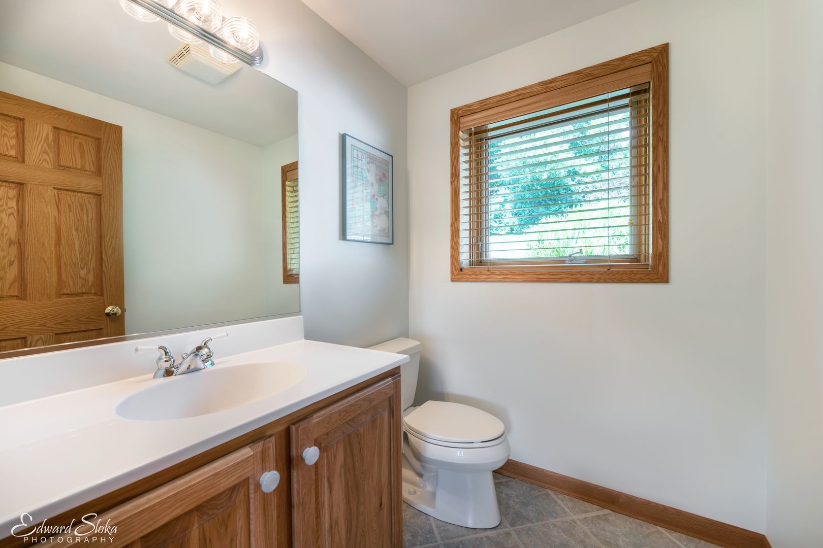 288 Fox Harbor Road Trout Valley, IL 60013 - Photo 21 of 34 a bathroom with a sink and a toilet