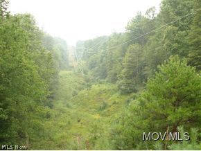 0 C Road Cairo, WV 26337 - Photo 10 of 11