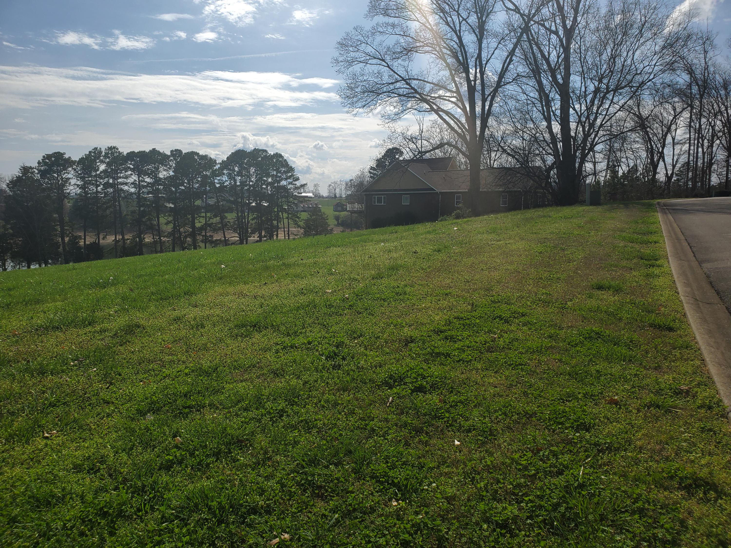 Lot 23 Blount Circle Rutledge, TN 37861 - Photo 14 of 26 14