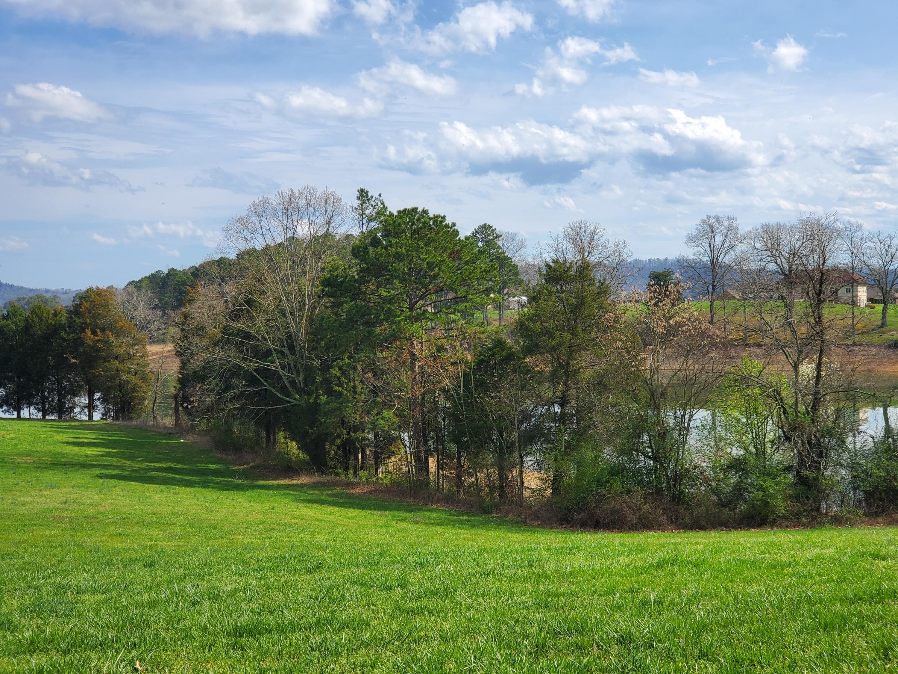 Lot 23 Blount Circle Rutledge, TN 37861 - Photo 3 of 26 3