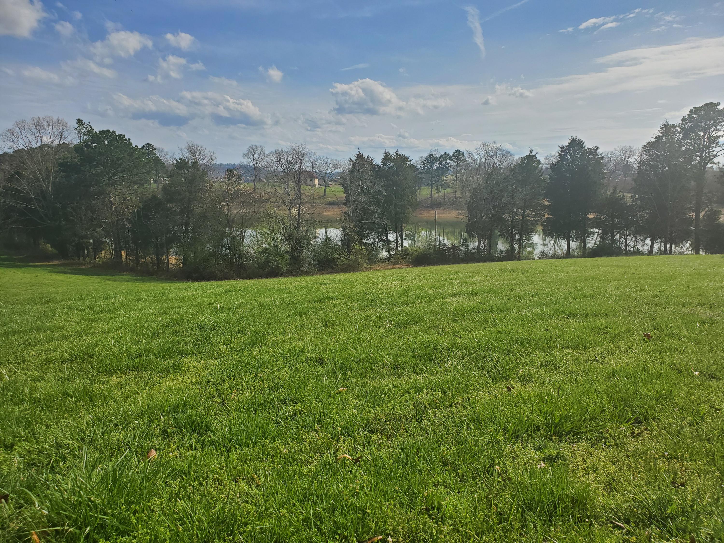Lot 23 Blount Circle Rutledge, TN 37861 - Photo 8 of 26 8