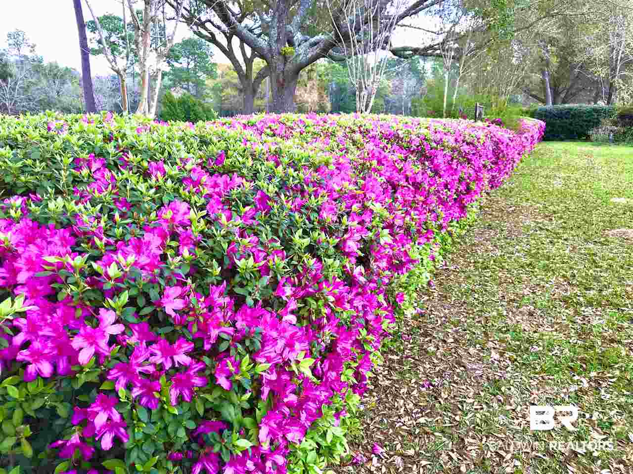 107 Wedge Loop Fairhope, AL 36532 - Photo 29 of 50