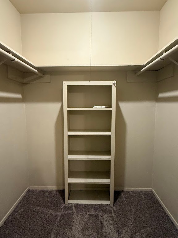202 East 45th Street, Unit 306 Austin, TX 78751 - Photo 10 of 11 a view of walk in closet