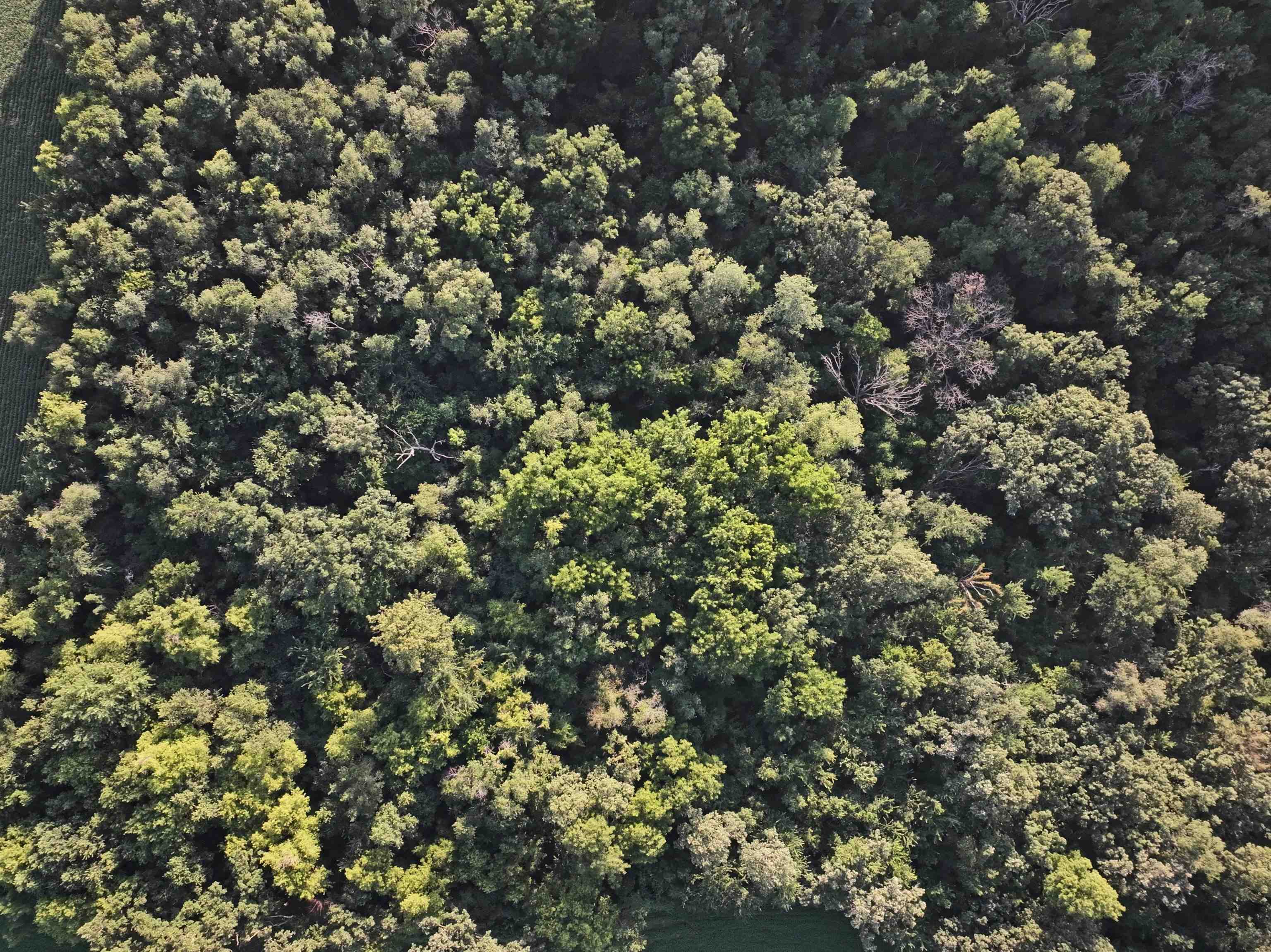 128.3 M/l Acres Highway Mount Horeb, WI 53572 - Photo 7 of 14