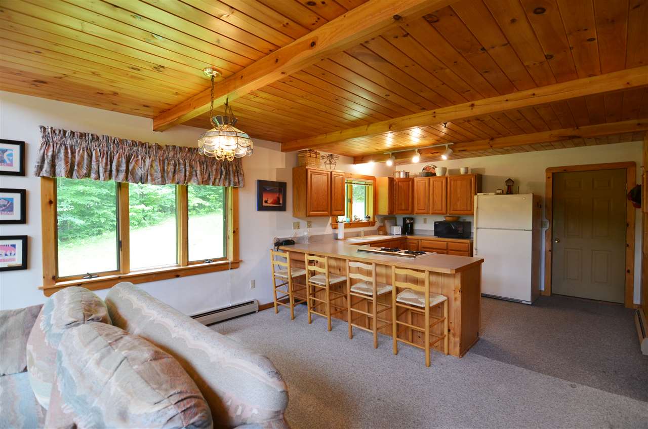 356 Tierney Road Cavendish, VT 05142 - Photo 19 of 38