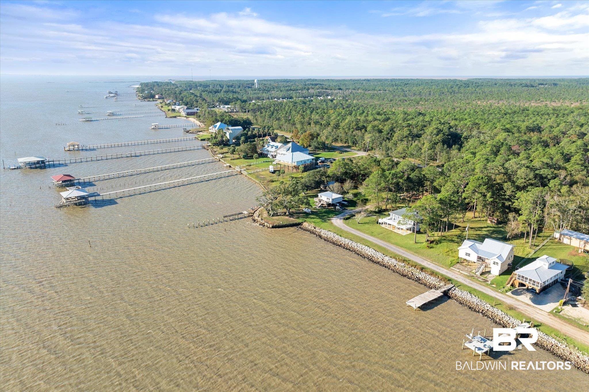 15111 Regus Road Coden, AL 36523 - Photo 23 of 35 Bird's eye view of a nearby body of water and a heavily wooded area