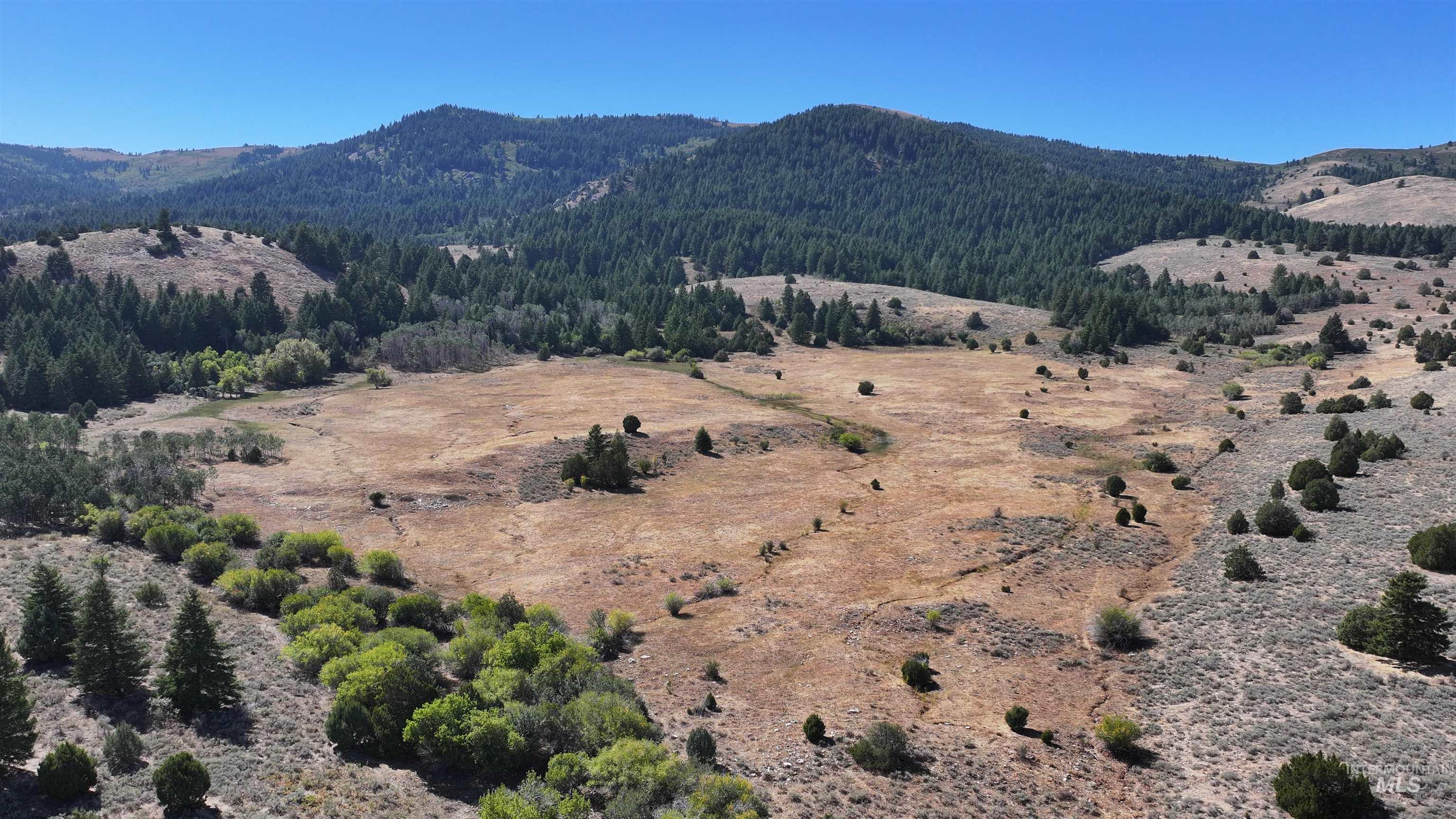 1200 South Lands Creek Road Albion, ID 83311 - Photo 14 of 49