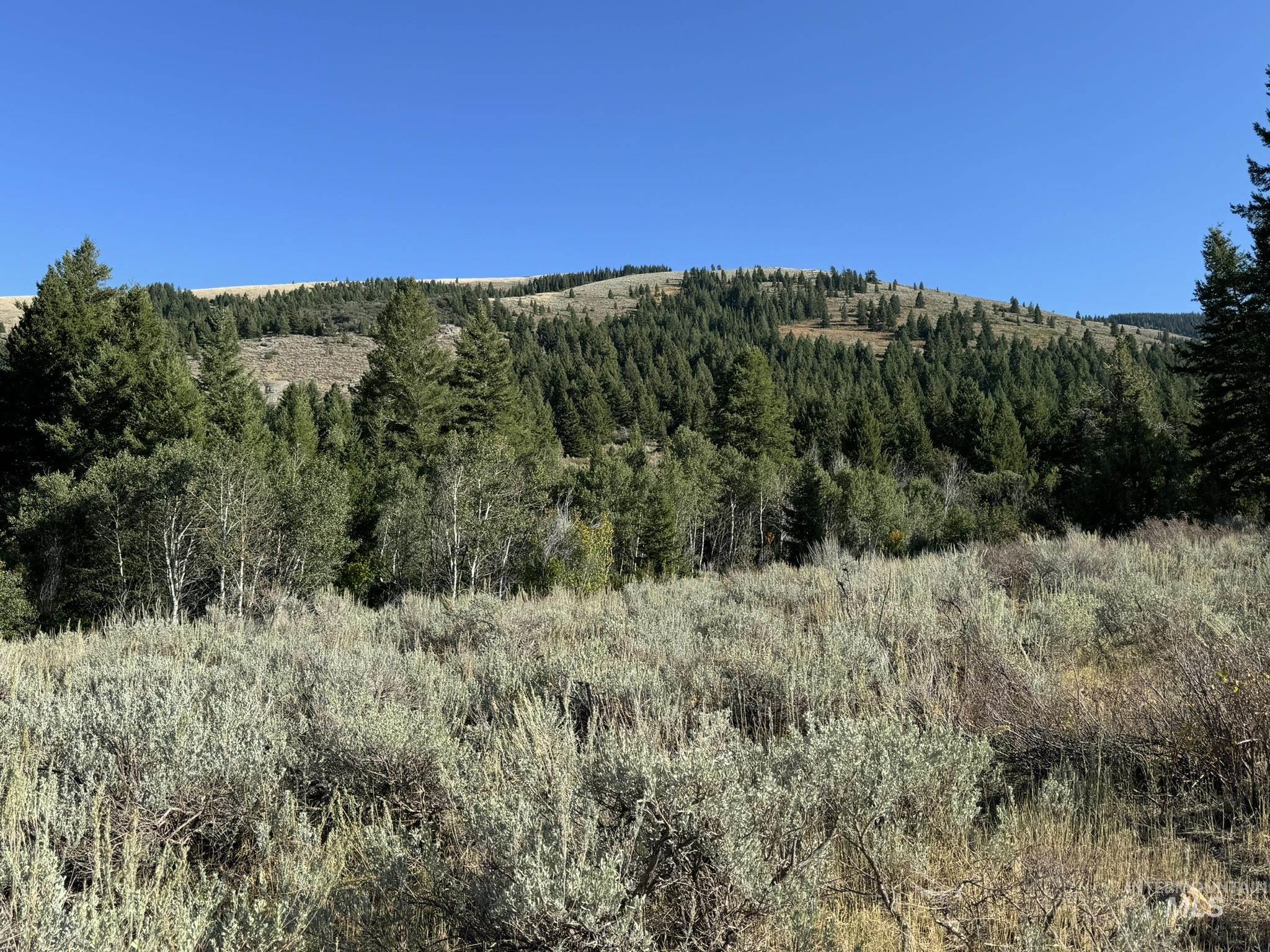 1200 South Lands Creek Road Albion, ID 83311 - Photo 17 of 49
