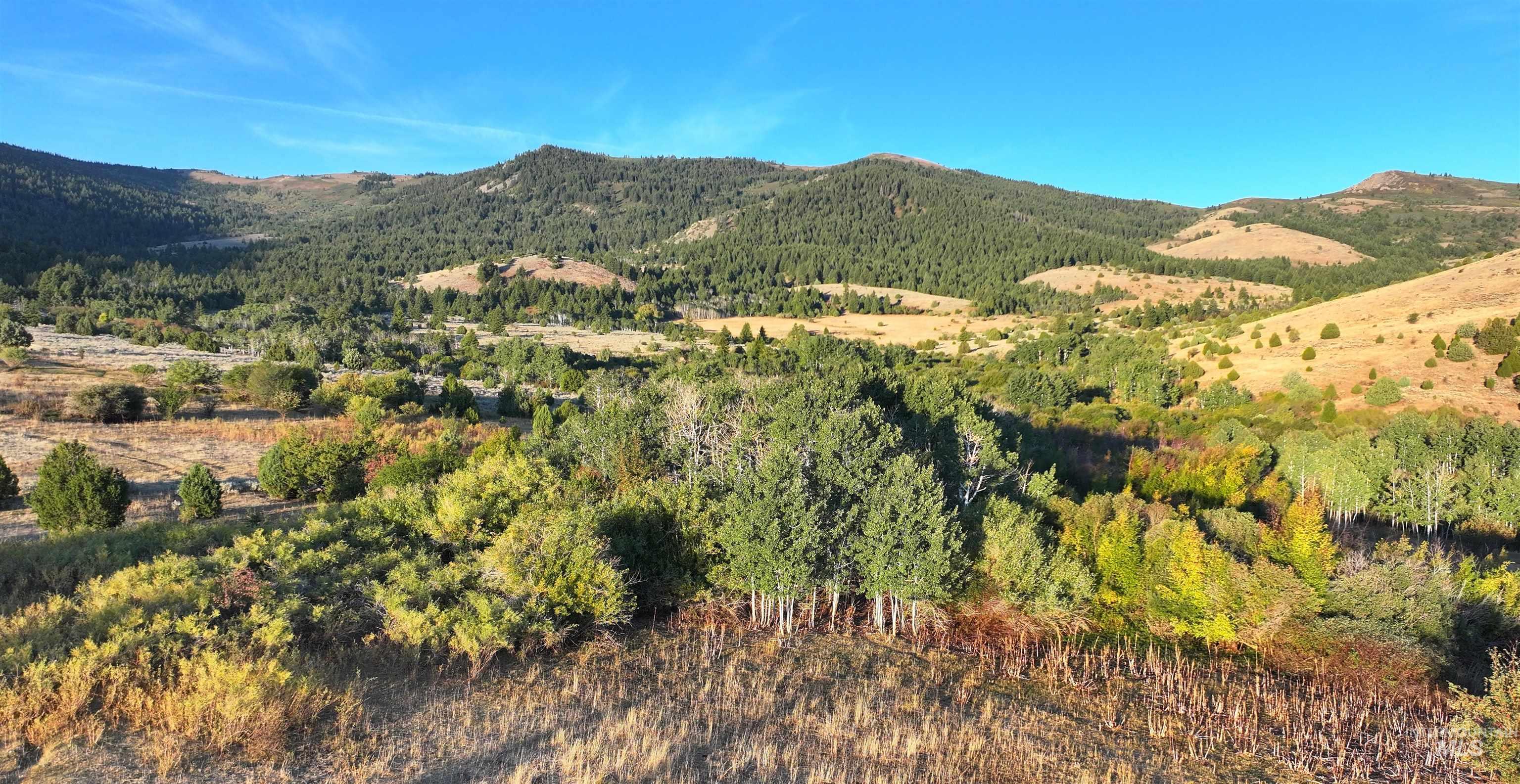 1200 South Lands Creek Road Albion, ID 83311 - Photo 19 of 49