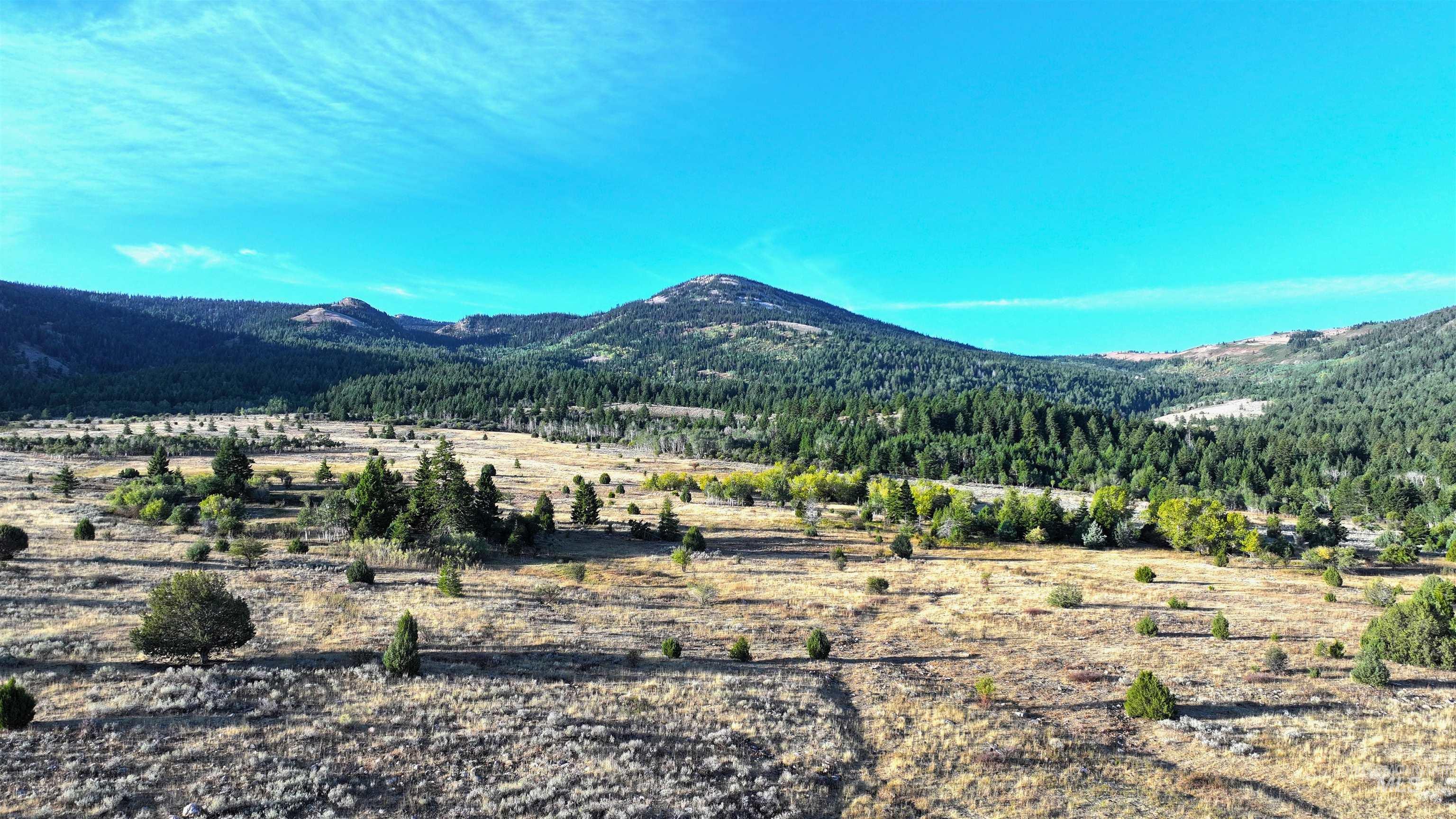 1200 South Lands Creek Road Albion, ID 83311 - Photo 23 of 49