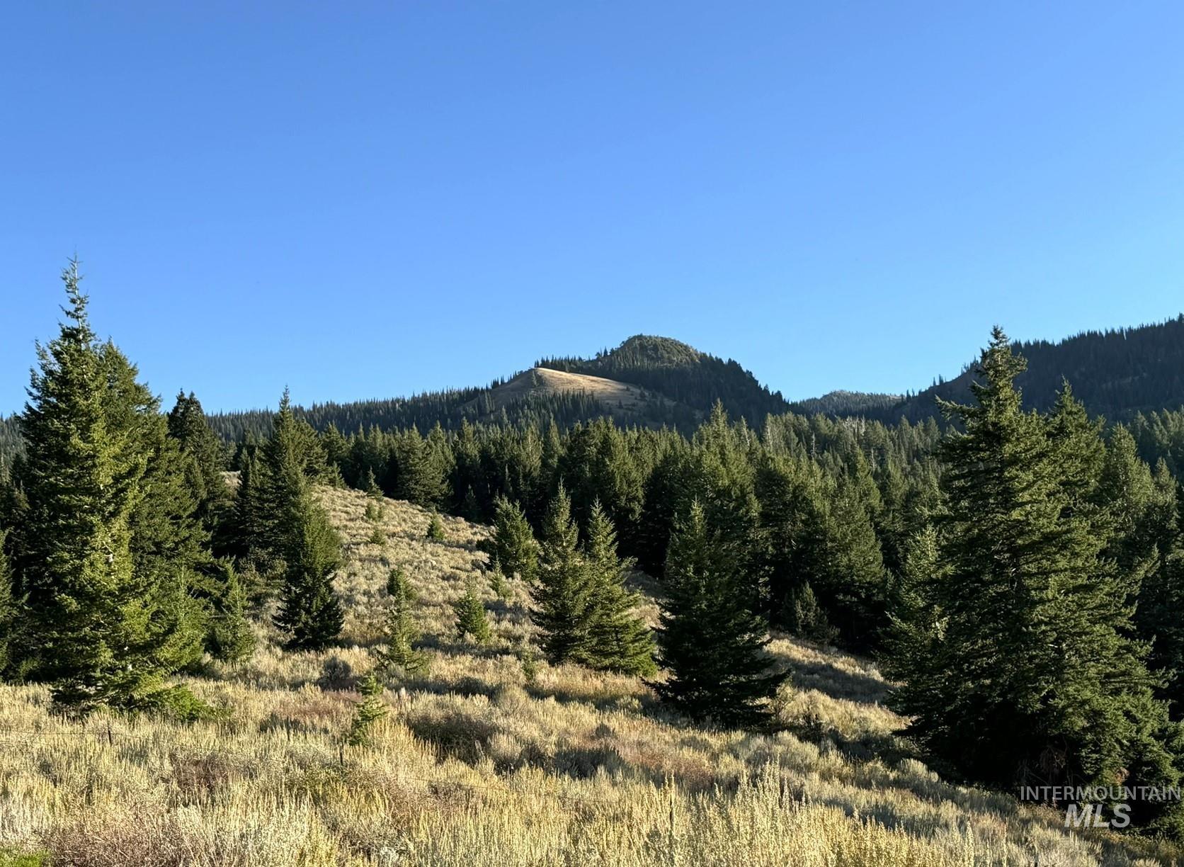 1200 South Lands Creek Road Albion, ID 83311 - Photo 35 of 49
