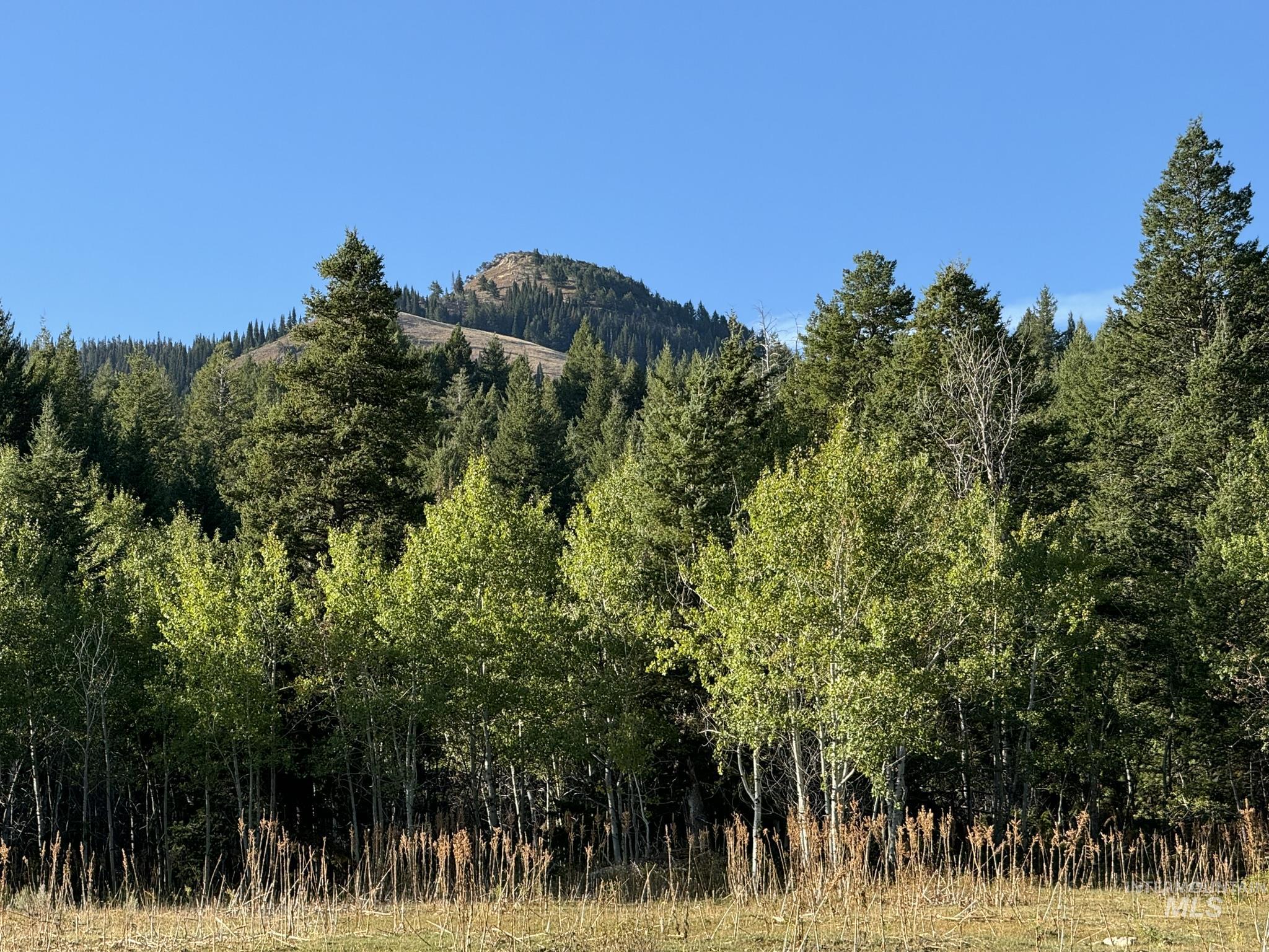 1200 South Lands Creek Road Albion, ID 83311 - Photo 40 of 49