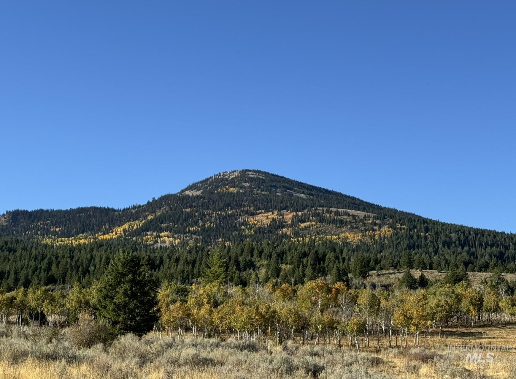 1200 South Lands Creek Road Albion, ID 83311 - Photo 4 of 49 View of mountain backdrop featuring a heavily wooded area