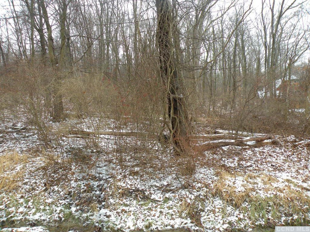 7694 Sheldon Road Wingdale, NY 12594 - Photo 1 of 3 Photo 1