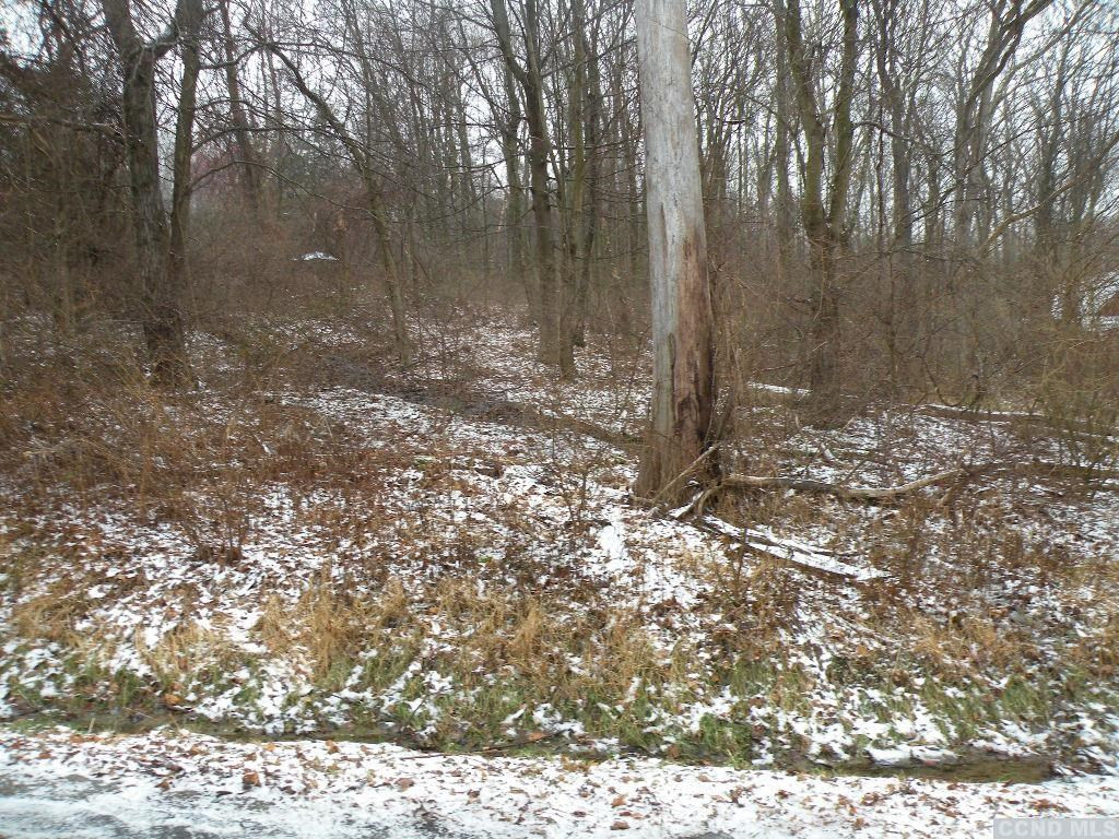 7694 Sheldon Road Wingdale, NY 12594 - Photo 2 of 3 Photo 2