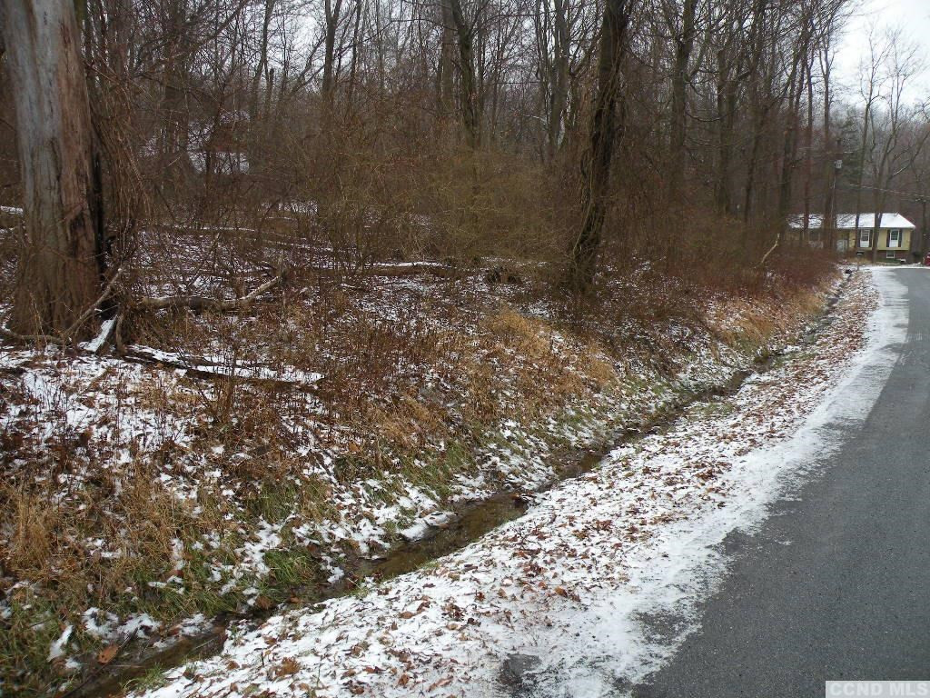 7694 Sheldon Road Wingdale, NY 12594 - Photo 3 of 3 Photo 3