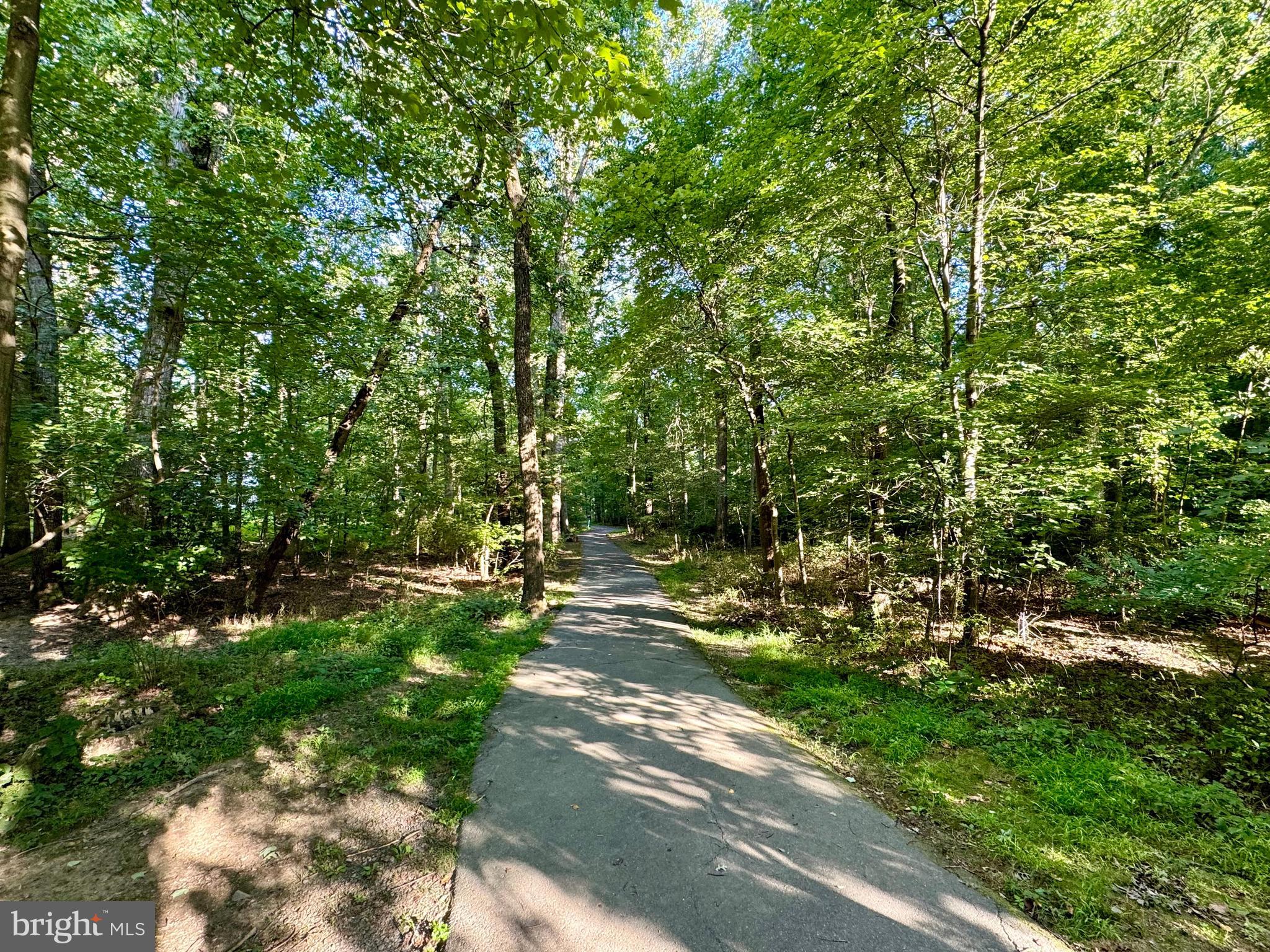 2452 Freetown Drive Reston, VA 20191 - Photo 57 of 69 Reston Amenities- Many Scenic Pathways