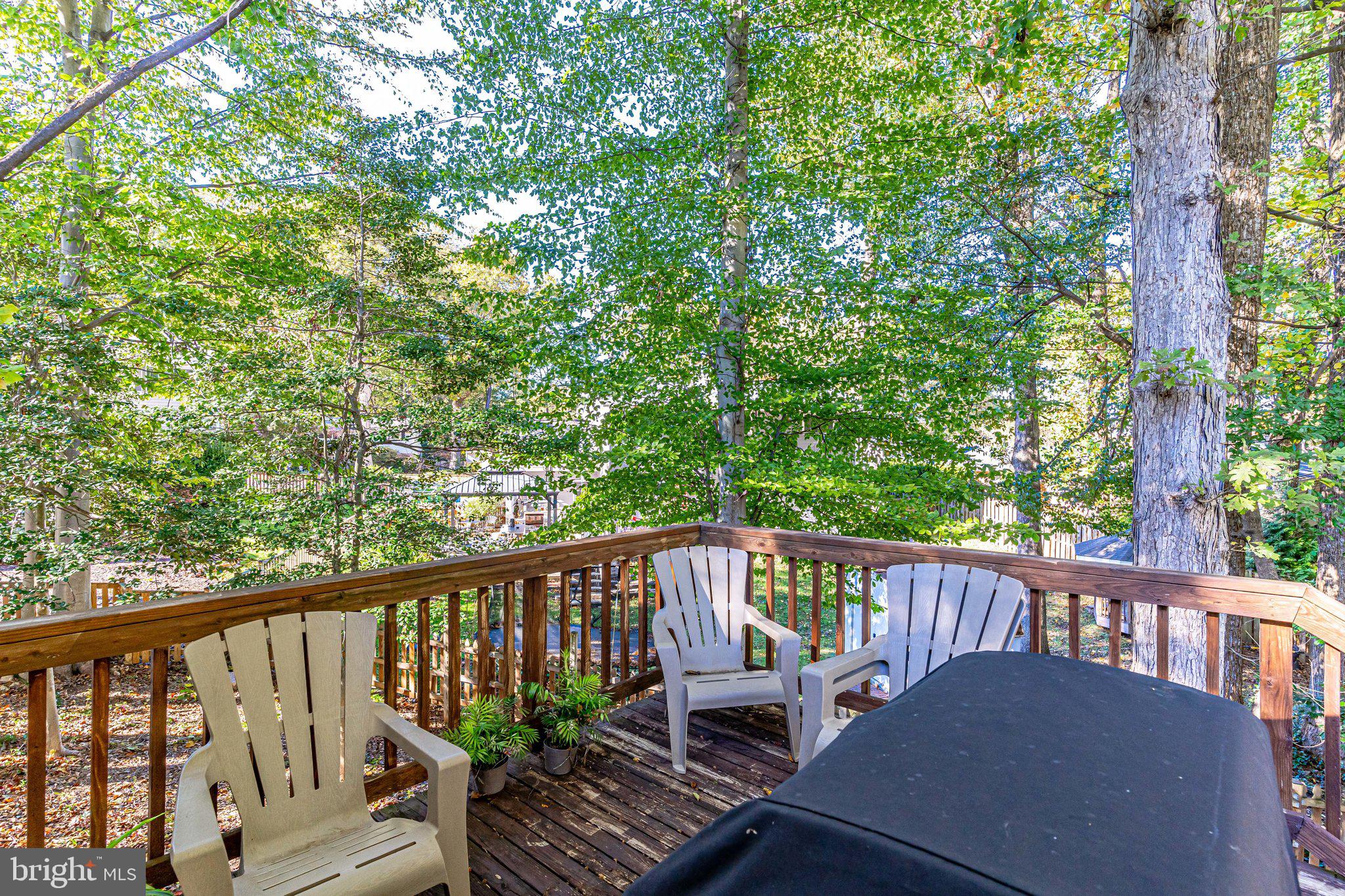 8616 Clydesdale Road Springfield, VA 22151 - Photo 41 of 66