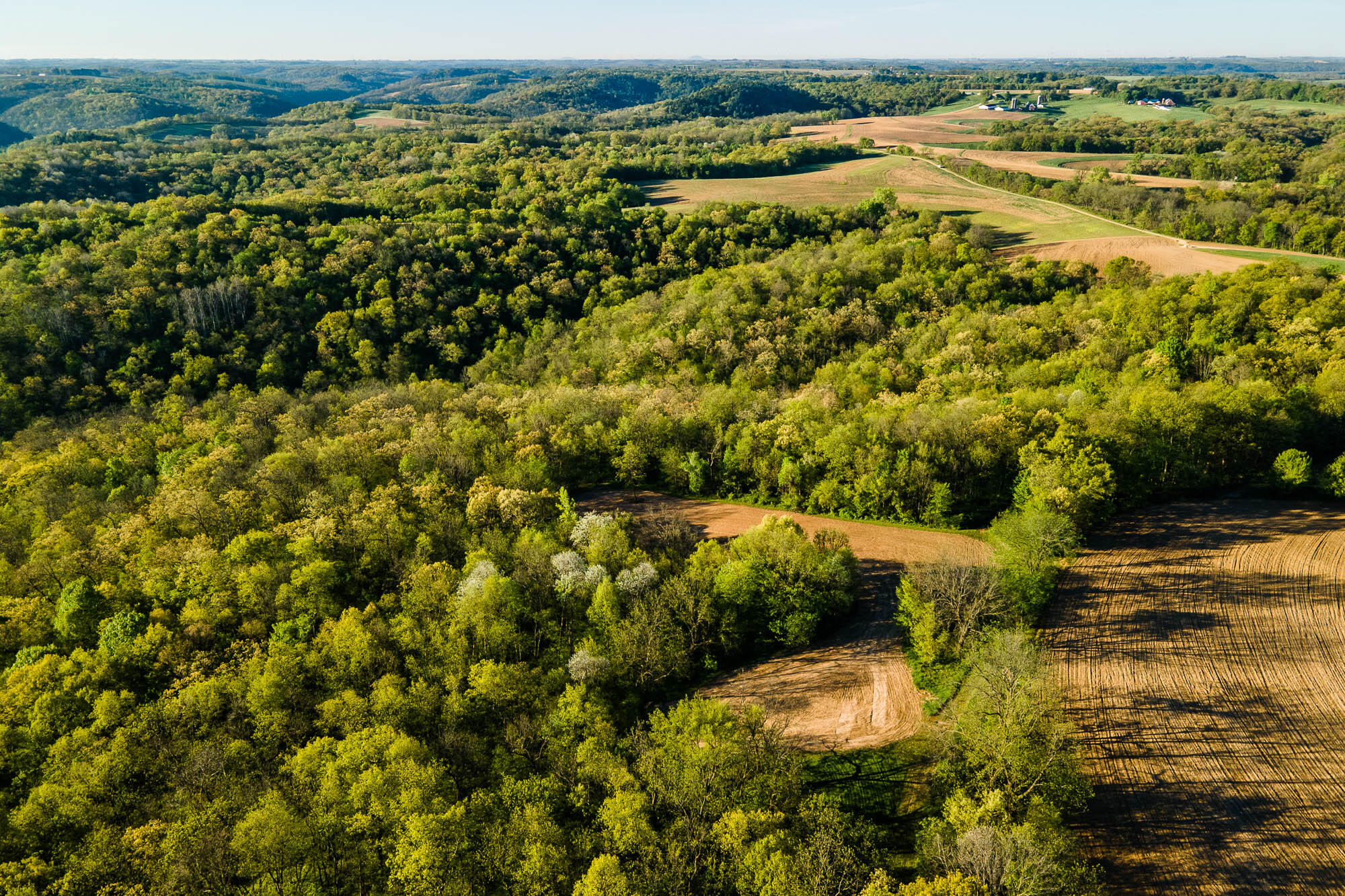 15999 Biba Road Muscoda, WI 53573 - Photo 7 of 103 Grant-County-WI-160-Acres-Land-For-Sale-