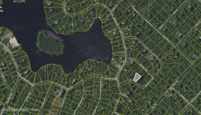 a view of a house with a yard and large tree