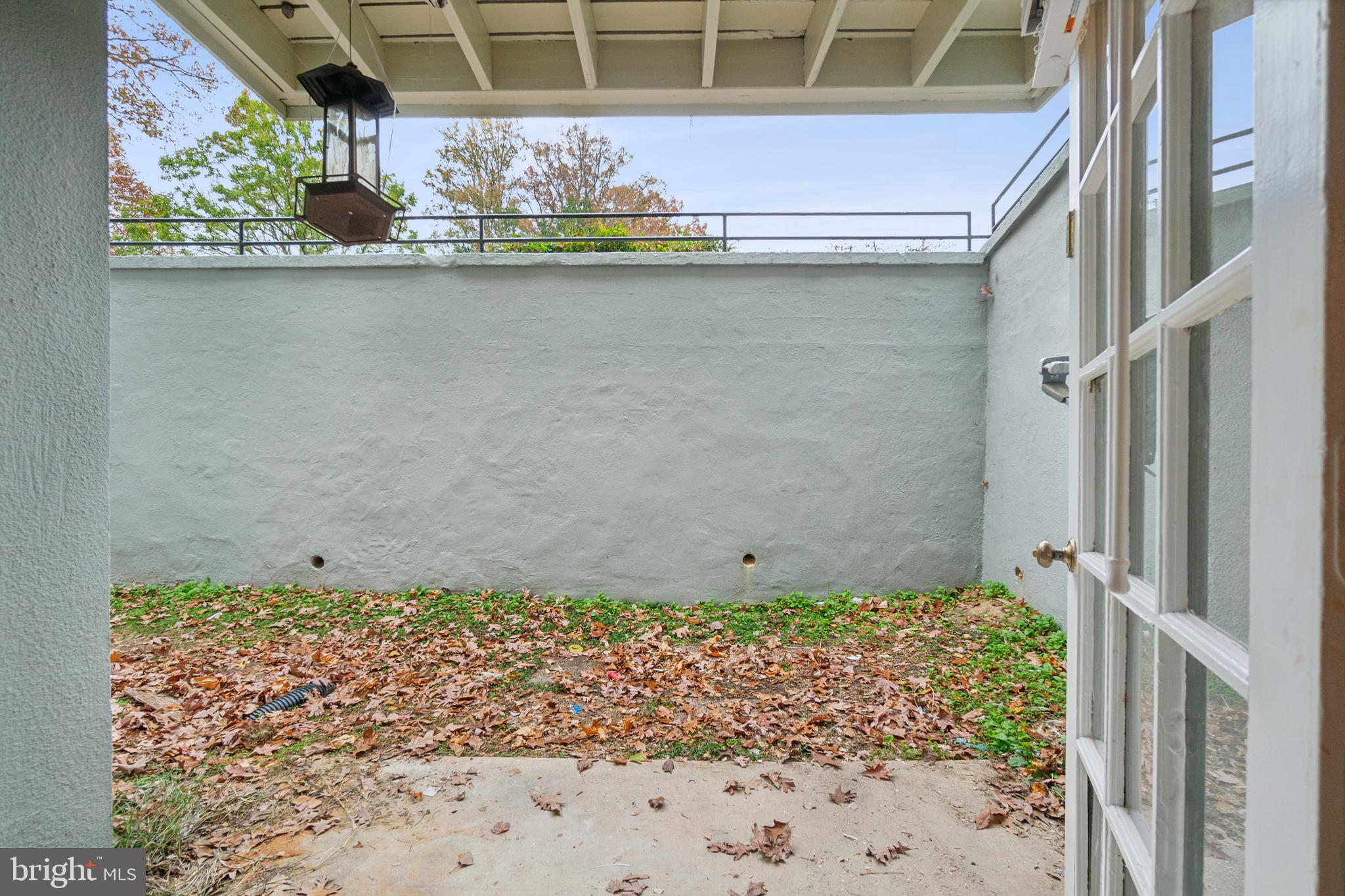 8312 Kingsgate Road, Unit 534 Springfield, VA 22152 - Photo 28 of 32 a close up of a plant