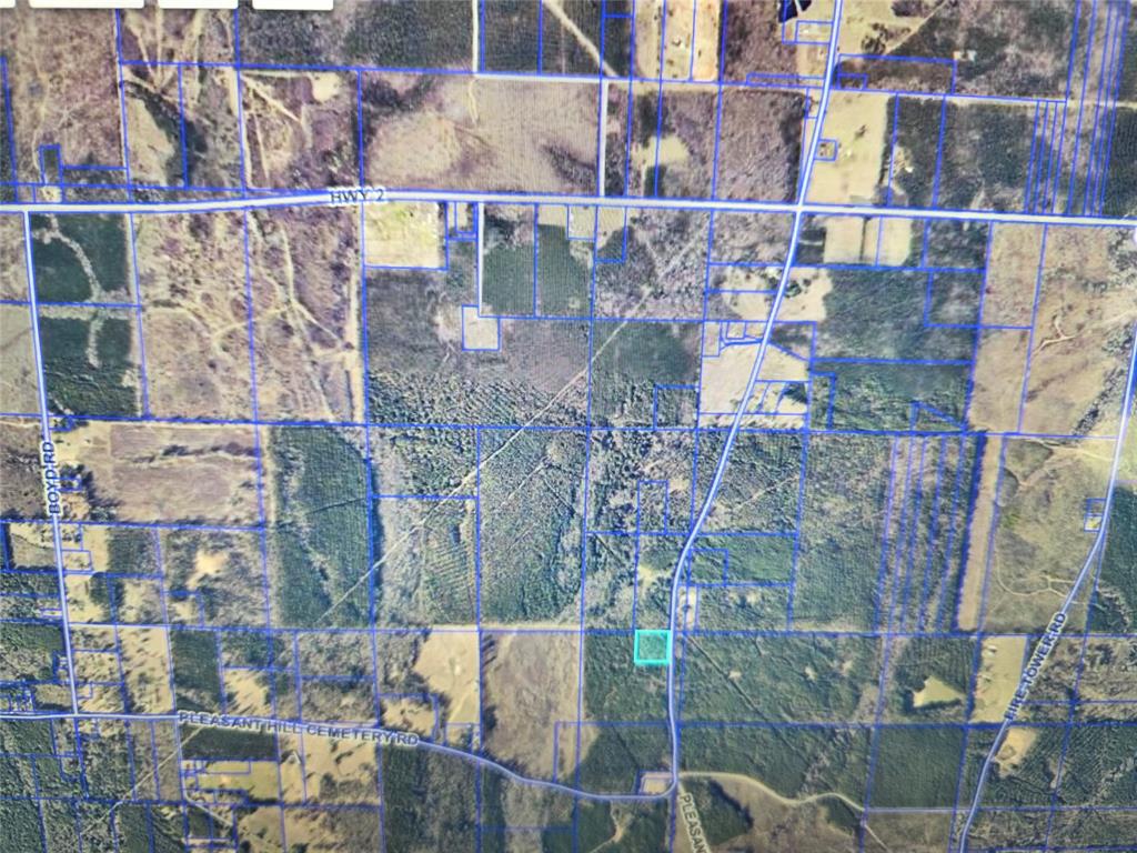 0 Pleasant Hill Cemetery Road Plain Dealing, LA 71064 - Photo 2 of 2