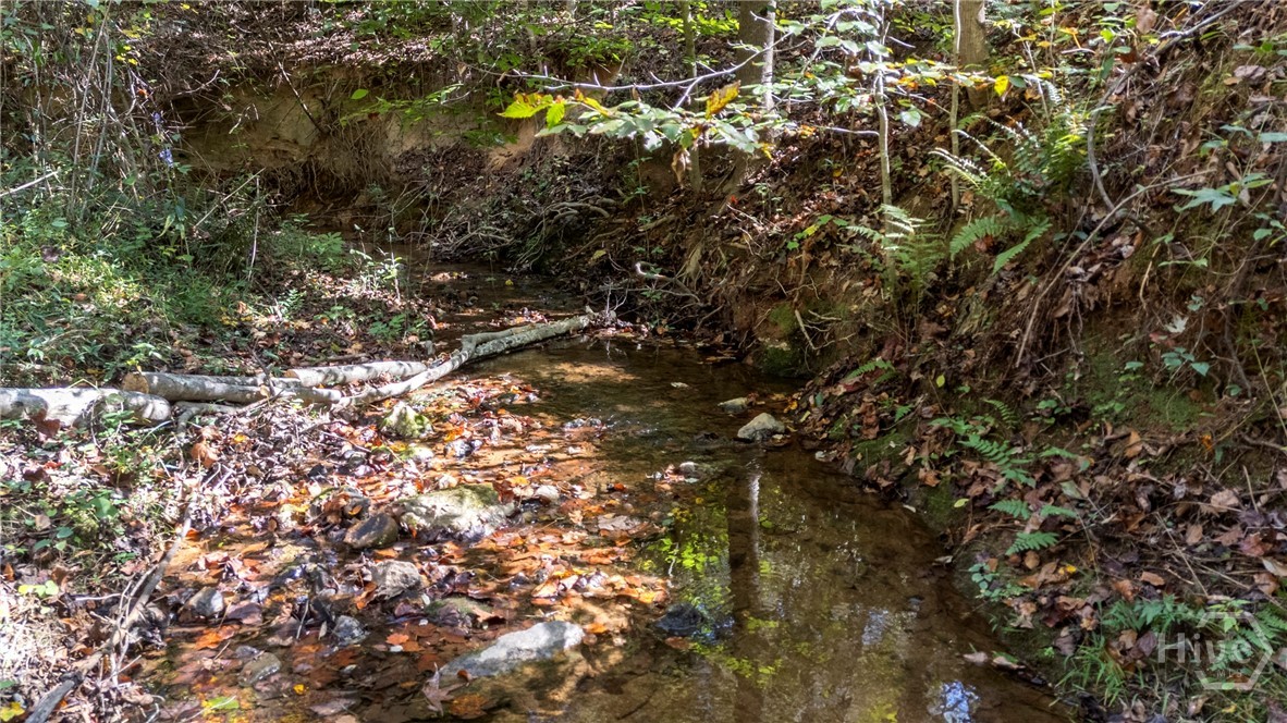 1579 Shoal Creek Road Colbert, GA 30628 - Photo 30 of 42 Large creek with water!