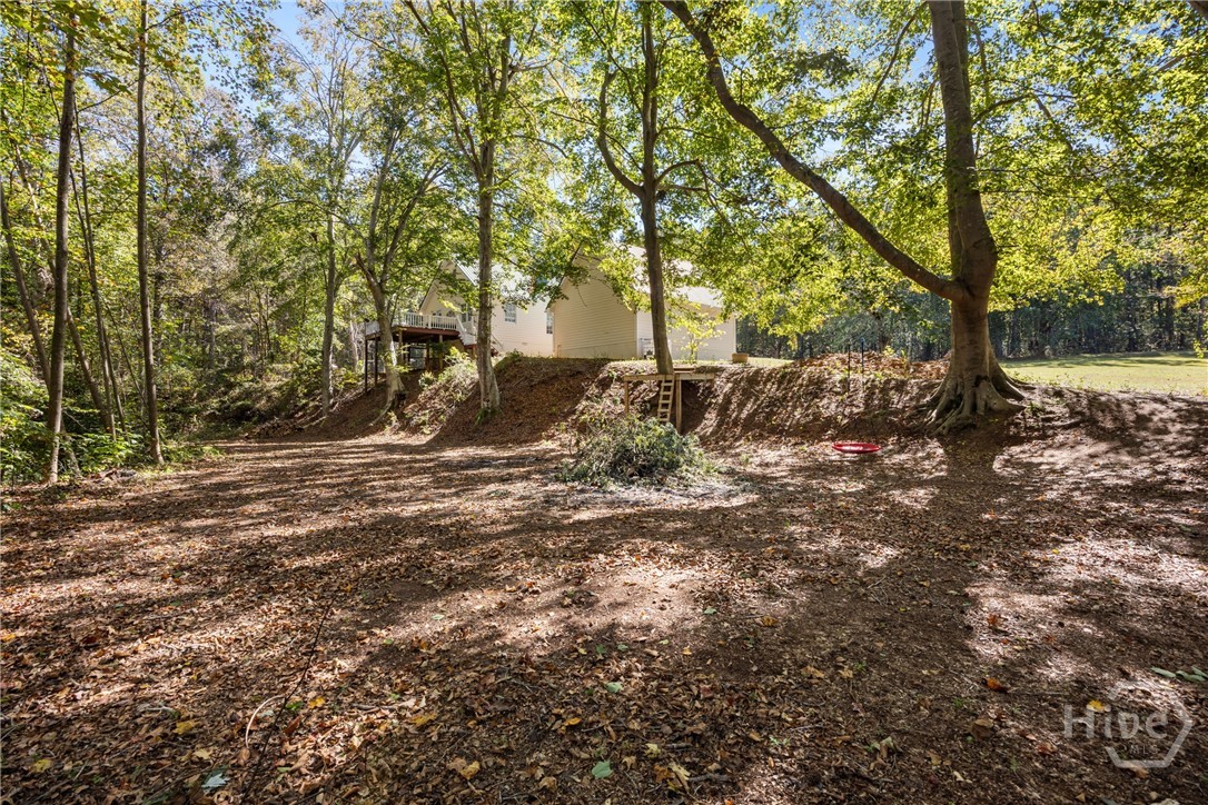 1579 Shoal Creek Road Colbert, GA 30628 - Photo 34 of 42 View of the creek play area or bonfire area