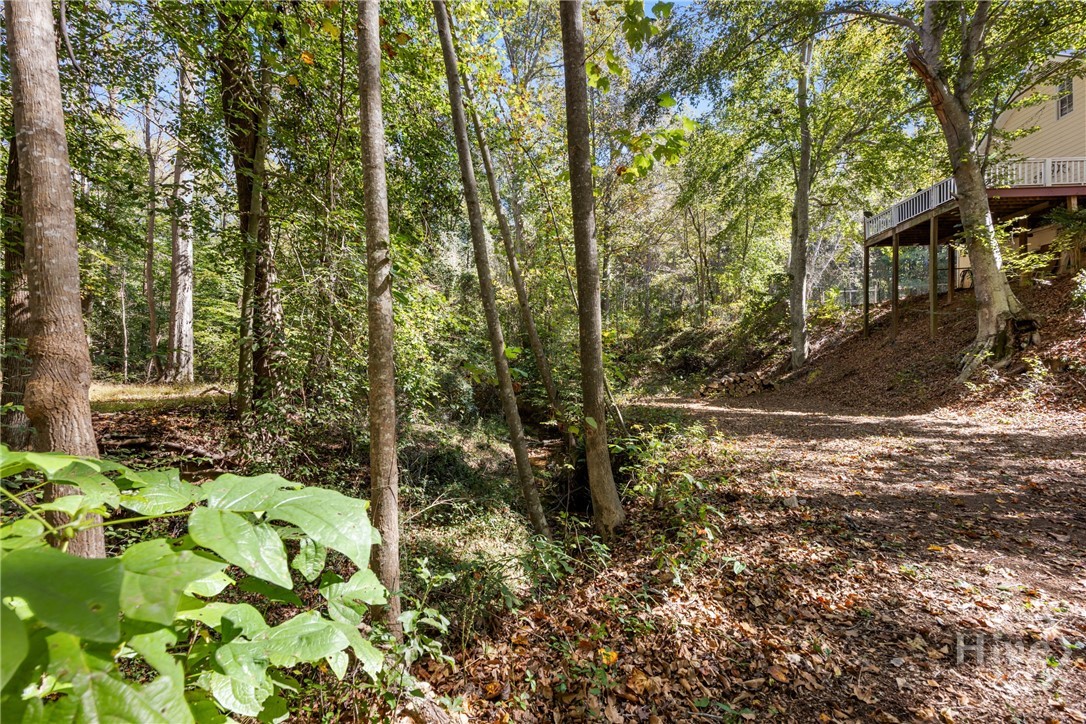 1579 Shoal Creek Road Colbert, GA 30628 - Photo 38 of 42 Creek view