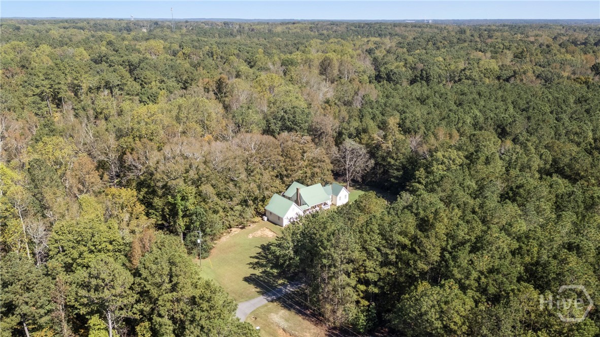1579 Shoal Creek Road Colbert, GA 30628 - Photo 5 of 42 View from the air!