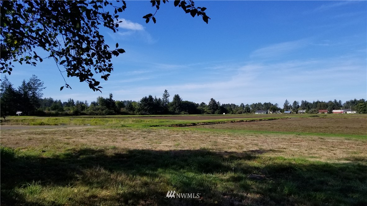 3711 Sandridge Road Seaview, WA 98644 - Photo 22 of 24 Gallery Image 22