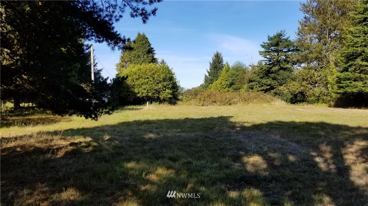 3711 Sandridge Road Seaview, WA 98644 - Photo 6 of 24 Gallery Image 6