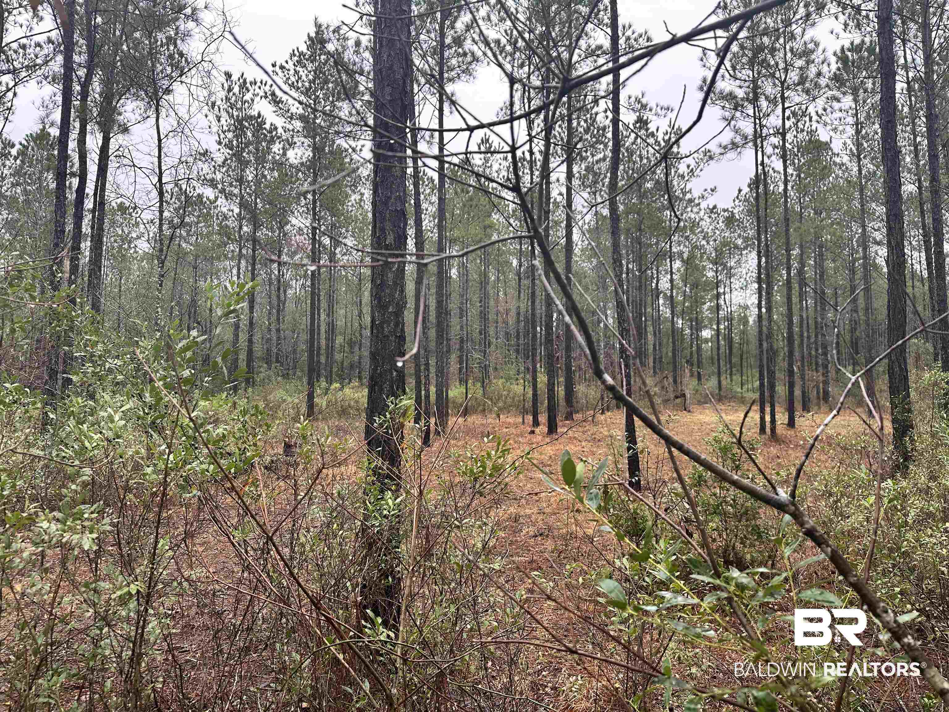 4549 J D Howard Road Tibbie, AL 36583 - Photo 16 of 33