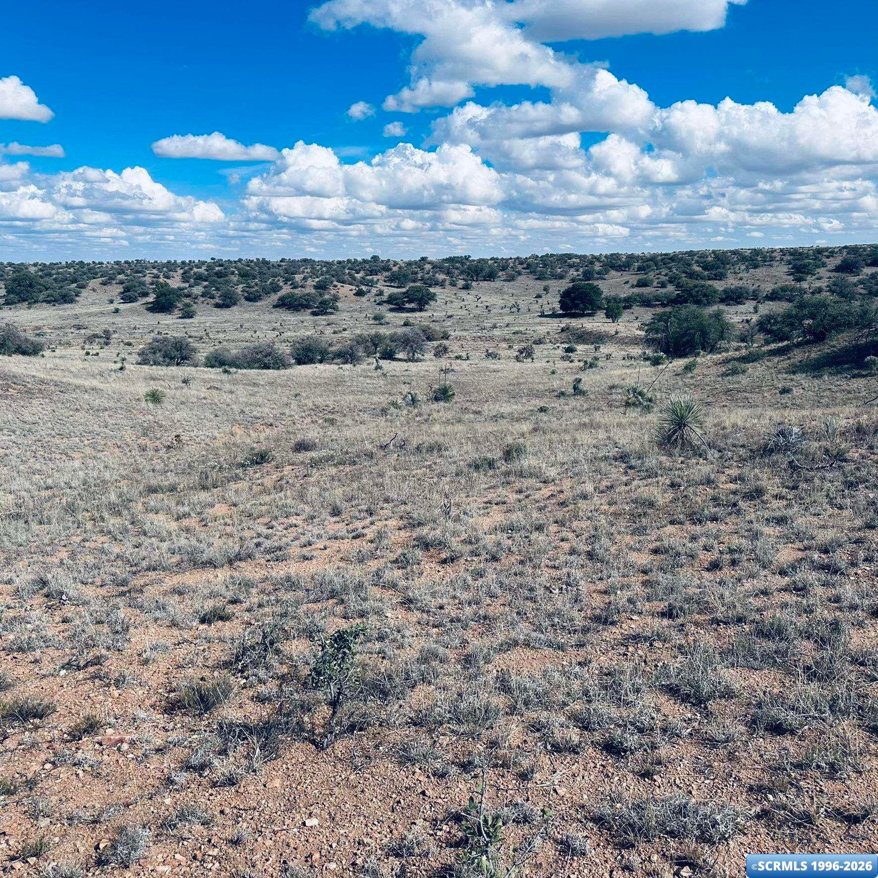 250 Salars Road Silver City, NM 88061 - Photo 28 of 48 Gallery Image 28