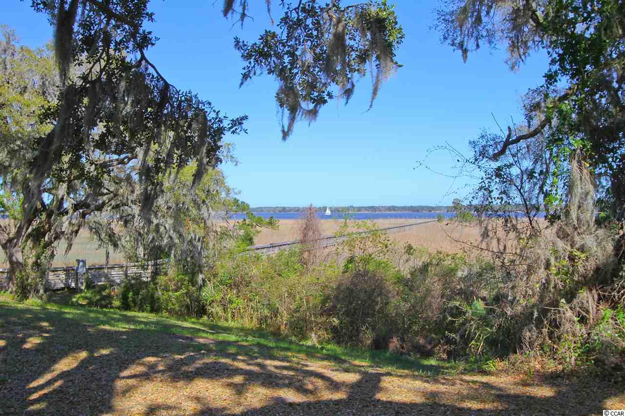 Lot 99 Richfield Road Georgetown, SC 29440 - Photo 3 of 22