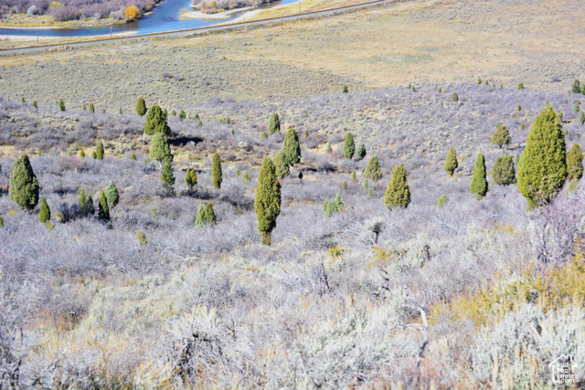 900 West Smit Road Georgetown, ID 83239 - Photo 41 of 52 North face of Noveen hill