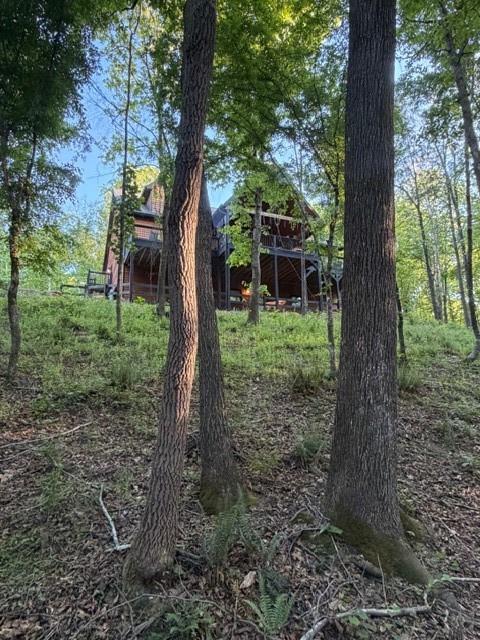 1330 Mc Cannon-Morris Road Colbert, GA 30628 - Photo 60 of 63