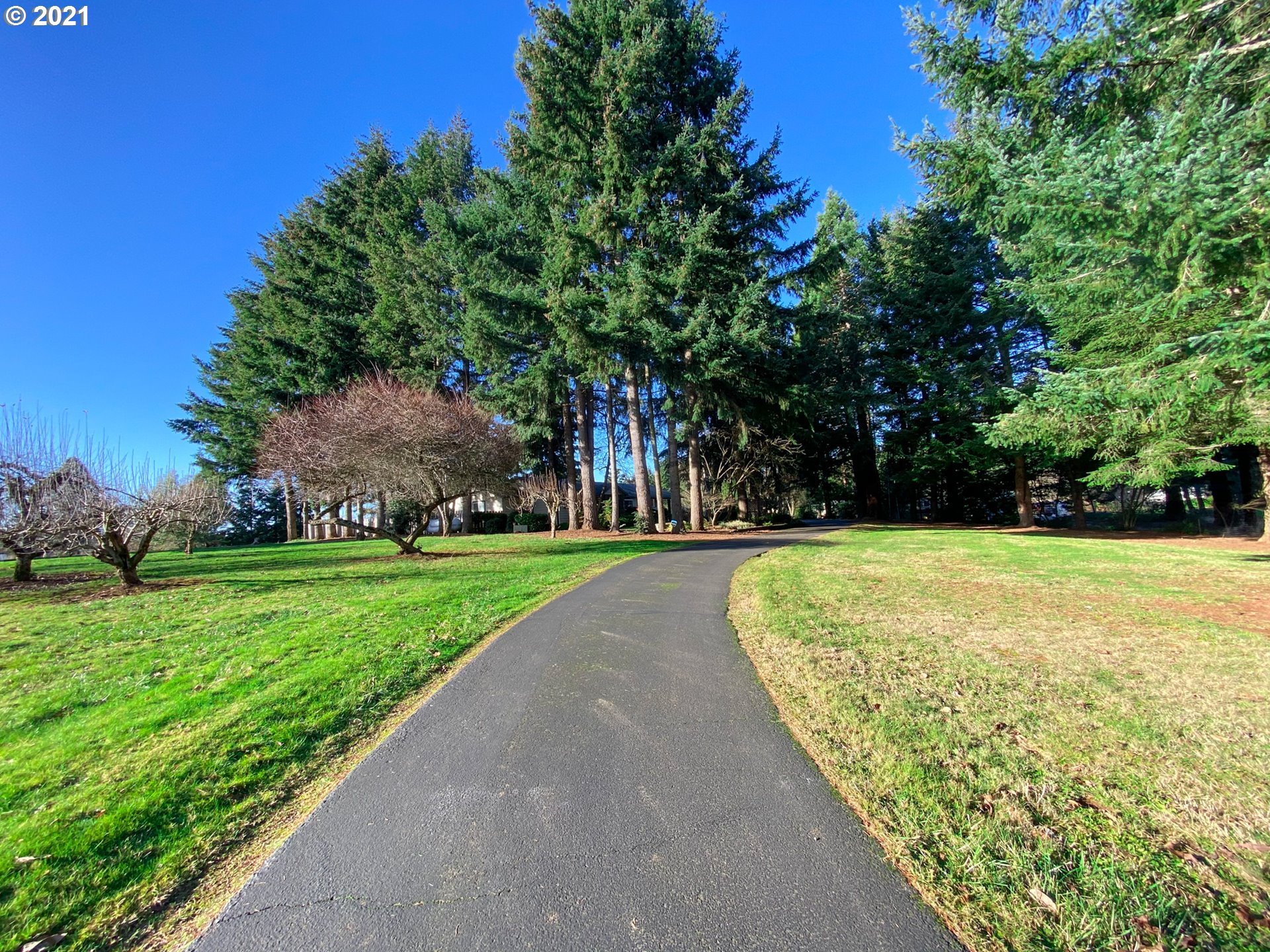 22241 South Ferguson Road Beavercreek, OR 97004 - Photo 4 of 31
