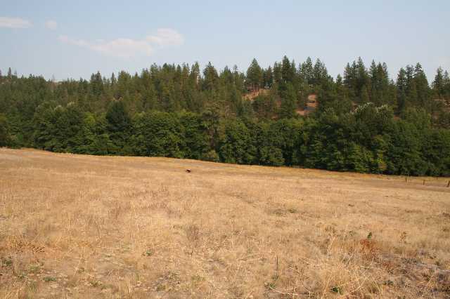 0 Patterson Creek Road Fort Jones, CA 96032 - Photo 2 of 6 Gallery Image 2
