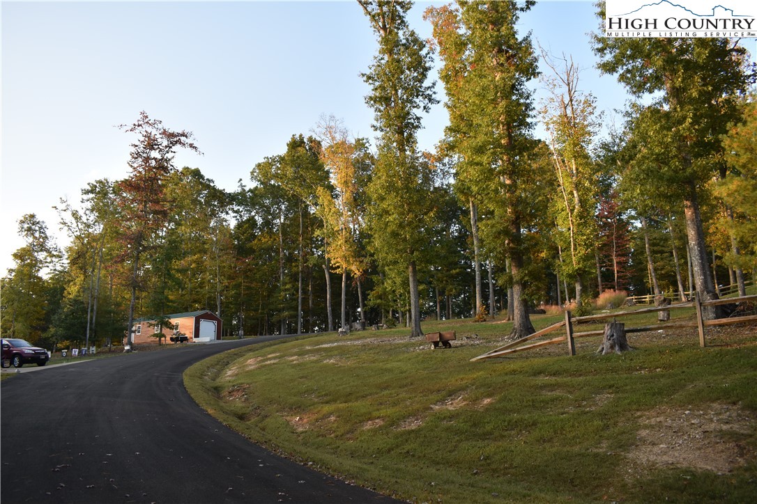 a park with lots of trees and slides