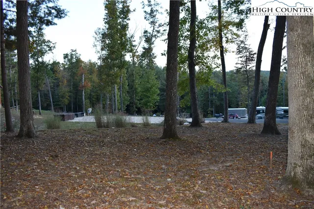 a view of a forest with trees in the background