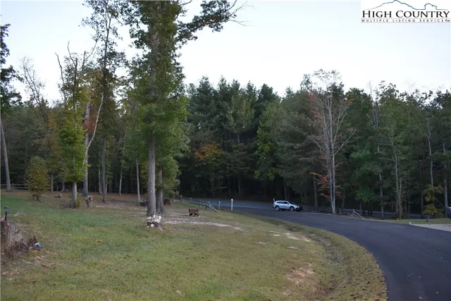 a view of a park with trees