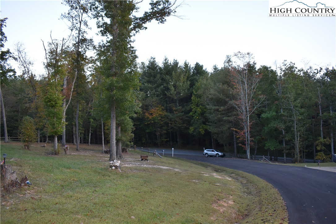 2380 Mt Carmel Road Sparta, NC 28675 - Photo 8 of 12 a view of a park with trees
