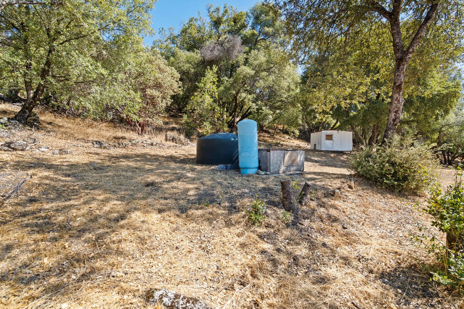 40882 Jean Road East Oakhurst, CA 93644 - Photo 16 of 32 a view of a outdoor space with a street view