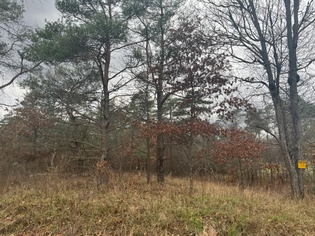 6 State Road Luther, MI 49656 - Photo 9 of 18