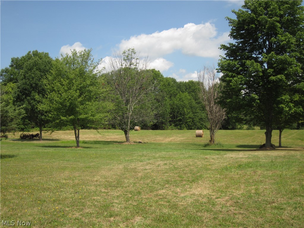 9097 Tallmadge Road Diamond, OH 44412 - Photo 28 of 31 Gallery Image 28