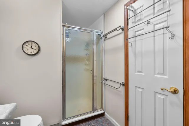 a bathroom with a shower and a toilet