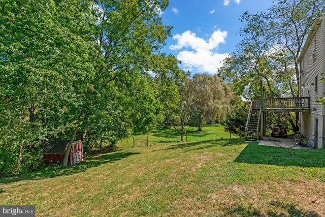a view of a park with large trees