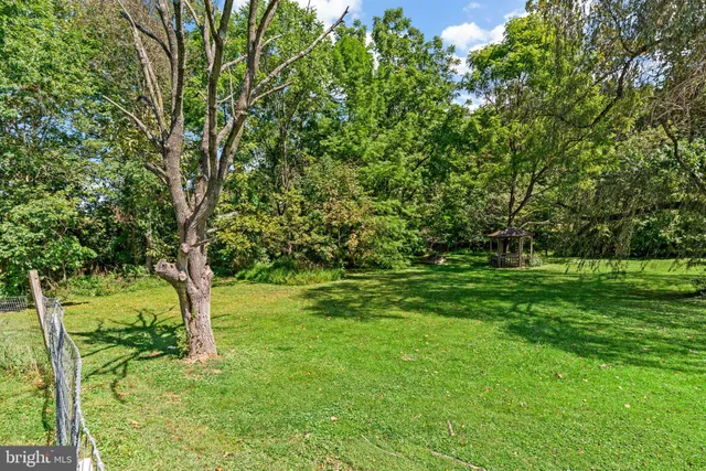 a view of green field with trees